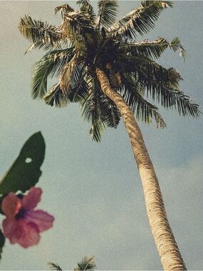 Sold 🖐🏻Kate Spade Bangle Bracelet